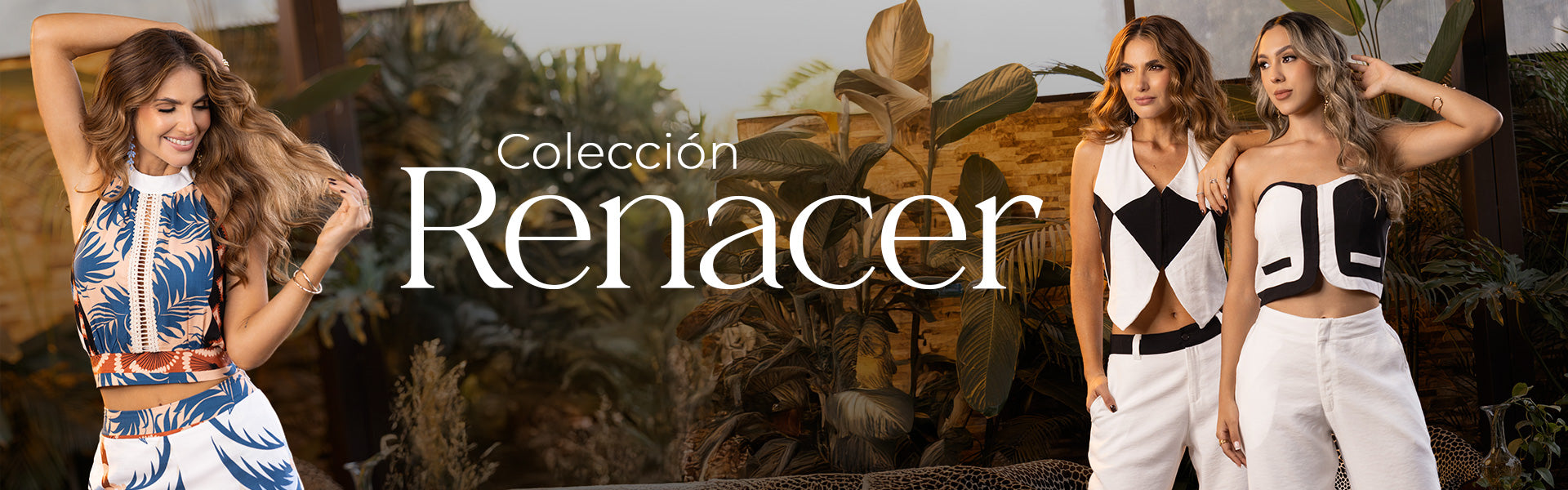 collection-banner-image